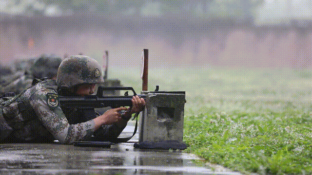 3.gif