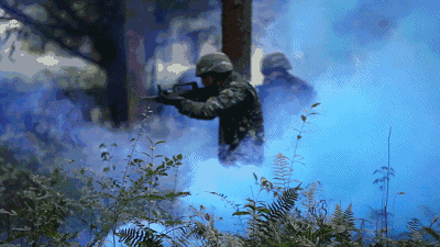 1656900633125367.gif 2.gif