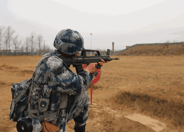 1750897237330804.gif 1.gif